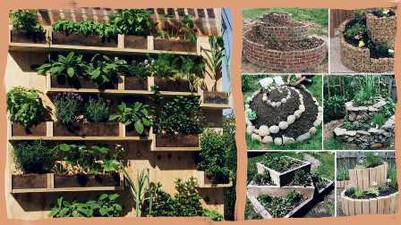 Как организовать вертикальные огороды в городских условиях