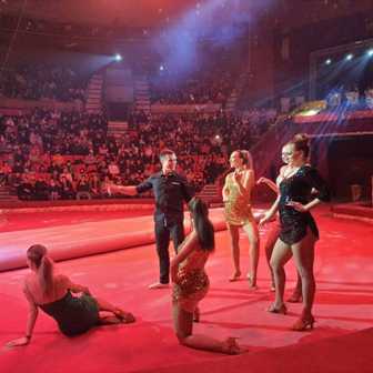 Цирк на Царицыном: веселье и шоу для всех поколений
