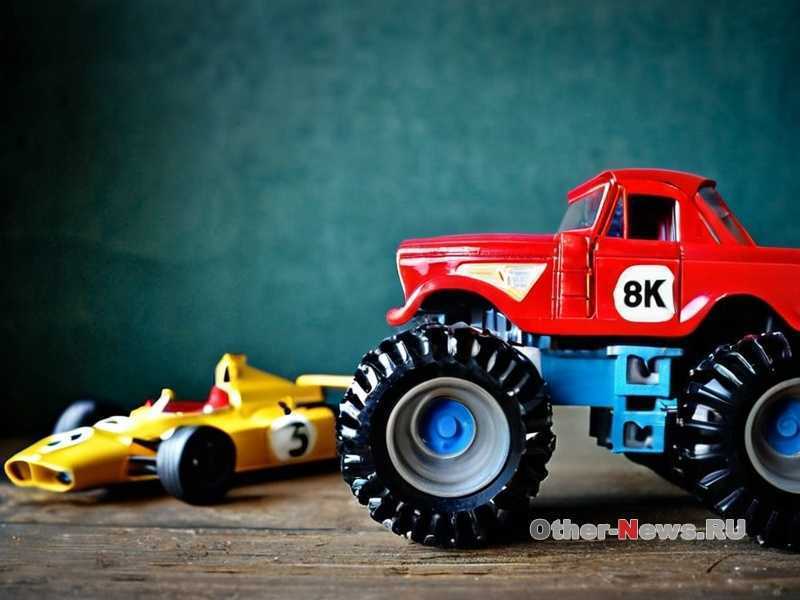 Как научить ребенка уважать природу и животных?