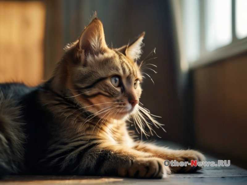 Формы антипаразитарных препаратов: преимущества и ограничения