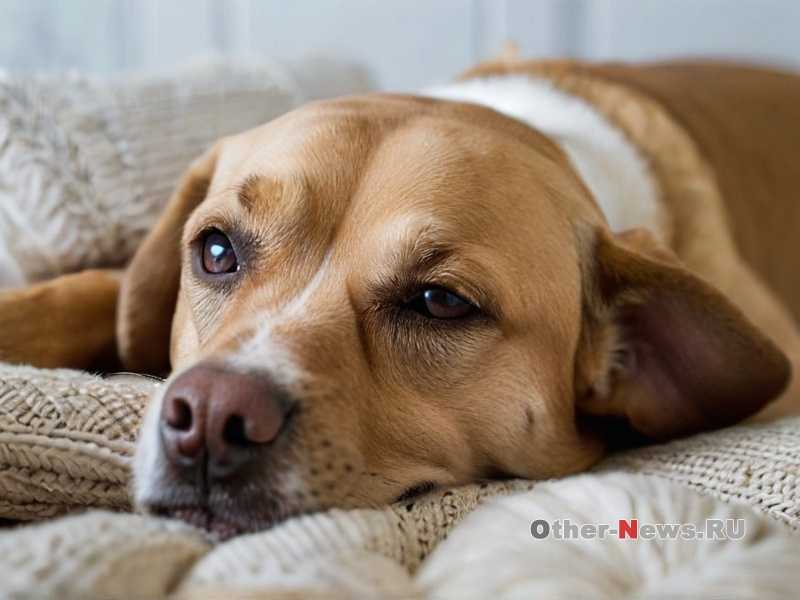 Создание комфортной атмосферы перед выходом из дома