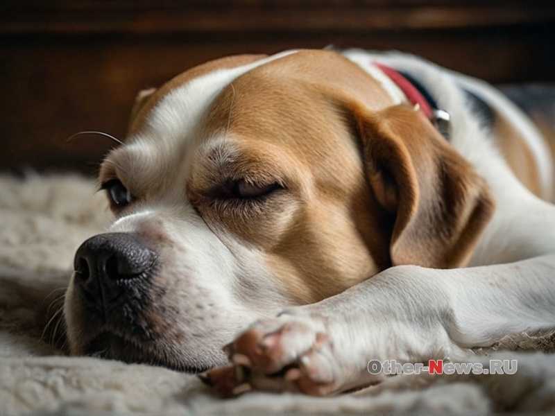 Непоследовательность в обучении