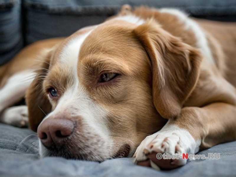 Частота и длительность тренировок для устойчивого результата