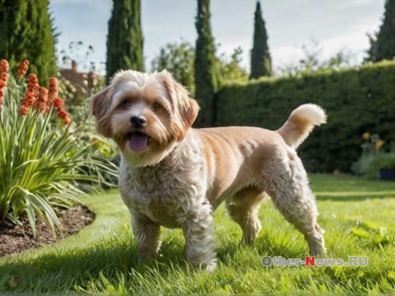 Выбор крупы