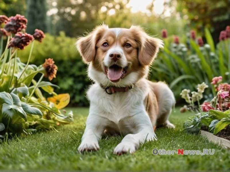 Методы подтверждения