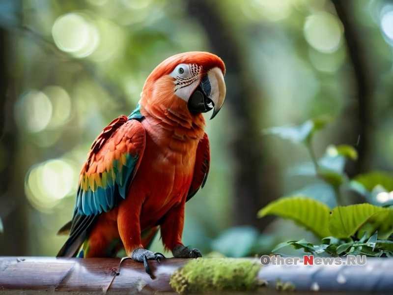 Как создать комфортные условия для восстановления птицы?