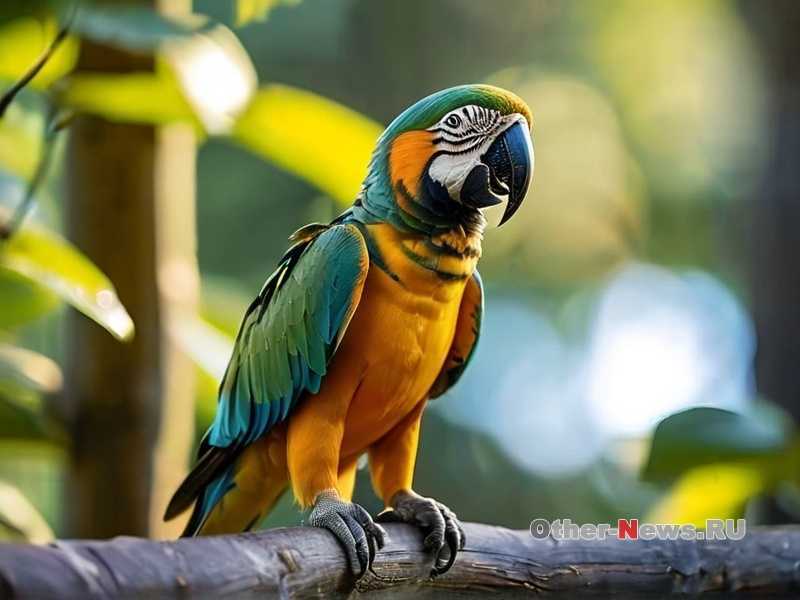 Что делать, если попугай активно грызет клетки?