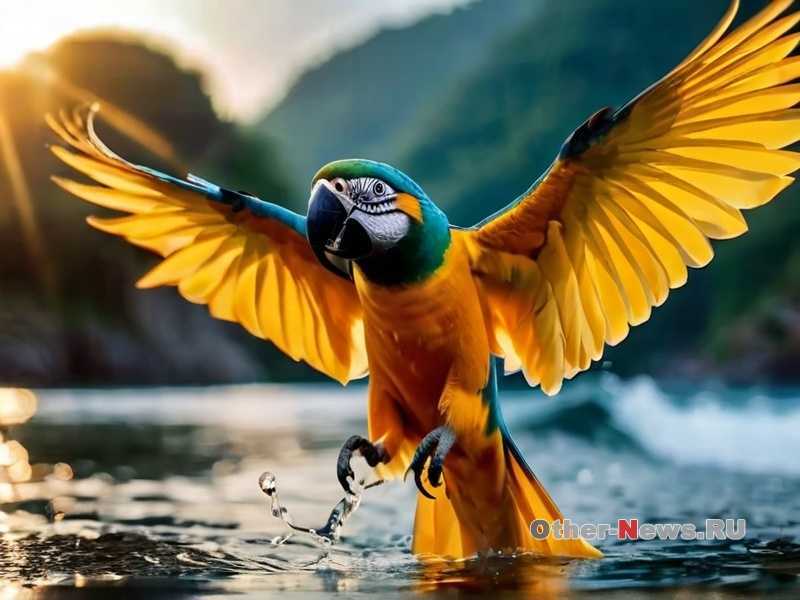 Как ухаживать за попугаем в зимний период?