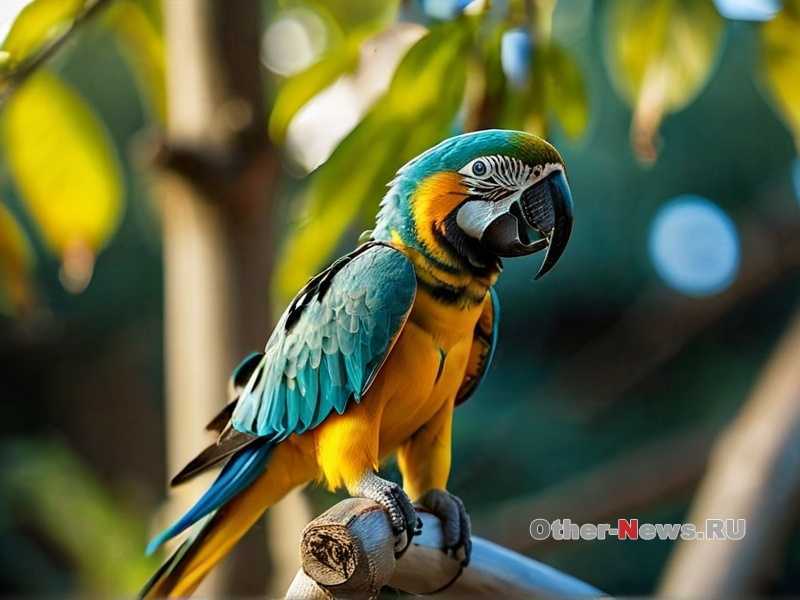 Когда стоит обратиться к ветеринару: признаки проблем со здоровьем