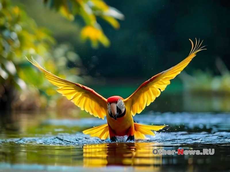 Почему попугай рвет перья?