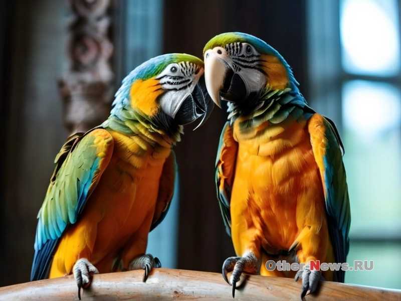 Какие факторы влияют на силу звука в дикой природе?