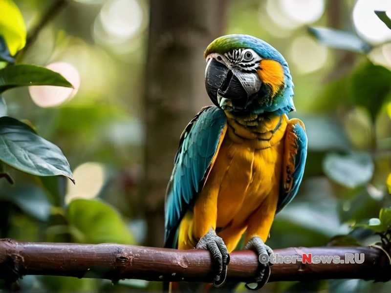 Как социальные потребности различаются у домашних и диких попугаев
