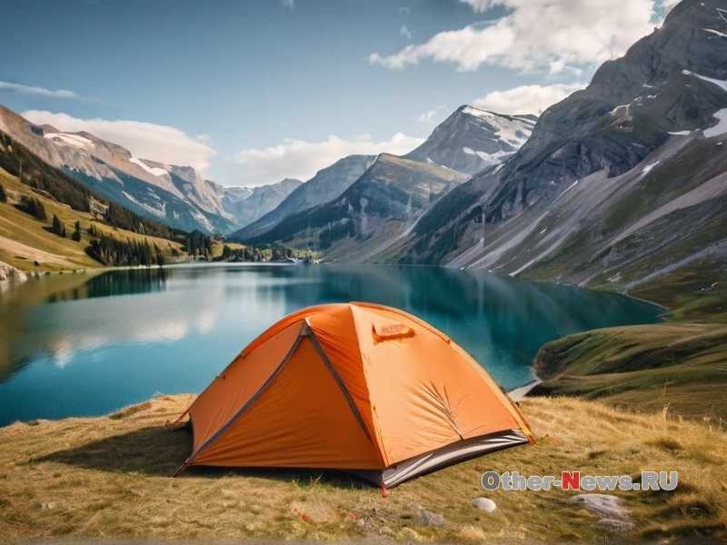 Как выбрать оптимальный рацион?