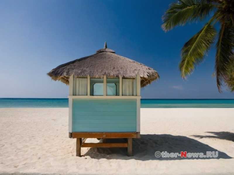 Как подготовиться к дикому походу в джунгли?