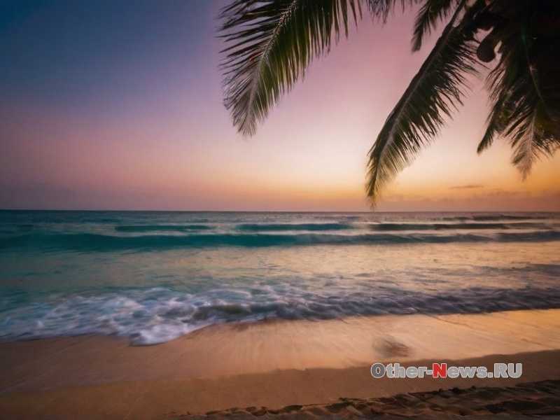 Где можно увидеть самые большие коралловые рифы в мире?