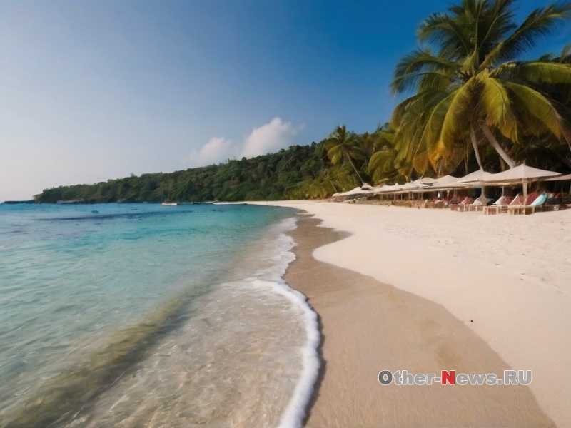 Где найти самые красивые тропические леса, которые привлекают путешественников своей дикостью?