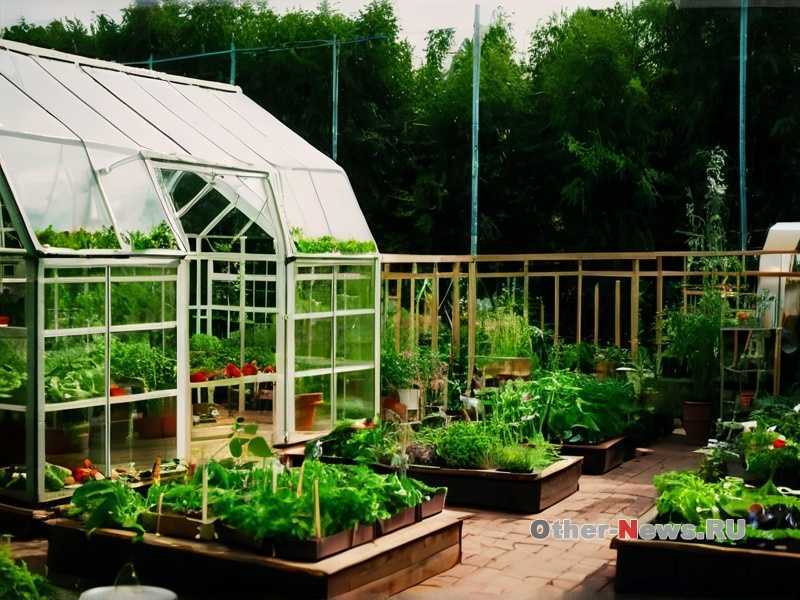 Когда собирать семена овощей и цветов для их хранения