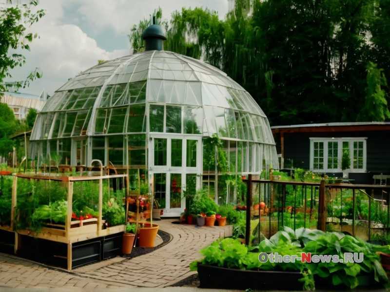 Какие сорта капусты лучше всего подходят для хранения