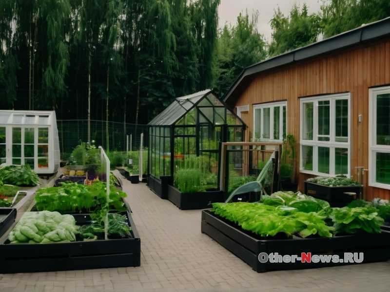 Какие овощи можно вырастить без перекопки почвы