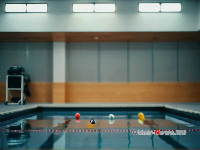 Как выбрать правильный мяч для баскетбола