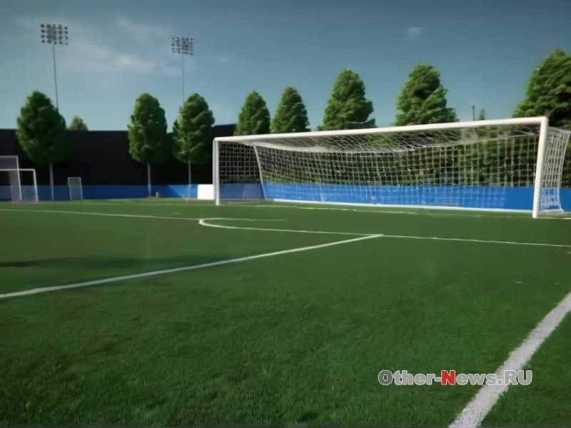 Сколько белка требуется и как его получить из обычной пищи