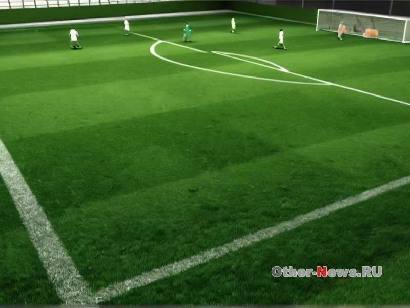 Какие добавки помогут улучшить спортивные результаты Какие добавки помогут улучшить спортивные результаты