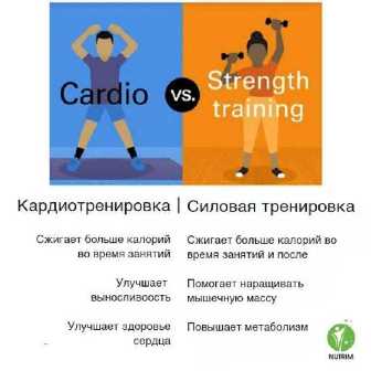 Идеальные тренировки для женщин: как объединить кардио и силовые упражнения