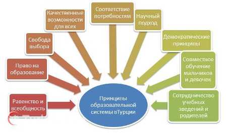 ВУЗ или курсы? Преимущества образования по выбору.